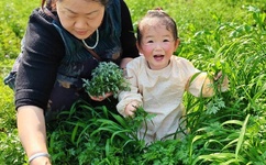 欧美巨乳亚洲第一社区